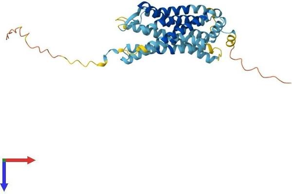 CXCR2 Protein (AA 1-359) (His tag)