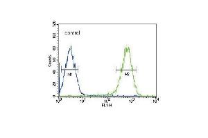 DLAT Antibody (C-term) (ABIN651534 and ABIN2840283) flow cytometric analysis of HepG2 cells (right histogram) compared to a negative control cell (left histogram). (DLAT 抗体  (C-Term))