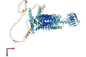 AlphaFold protein structure predicition of Mouse Recombinant Sv2c Protein, UniprotID Q69ZS6 (SV2C Protein (AA 1-727) (His tag))