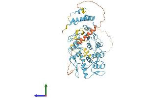 Protein Structure (PS) image for Zinc finger protein 82 homolog (ZFP82) (AA 1-532) protein (His tag) (ABIN7545442)