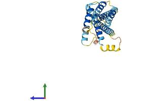 AlphaFold protein structure predicition of Mouse Recombinant Insig2 Protein, UniprotID Q91WG1