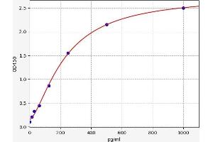 ADAMTS8 ELISA 试剂盒