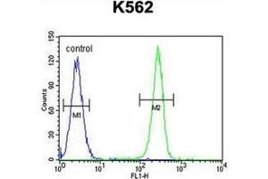 Fllow cytometric analysis of K562 cells using AP53076PU-N (right histogram) compared to a negative control cell (left histogram). (Q9H346 (AA 251-281), (C-Term) 抗体)