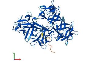 AlphaFold protein structure predicition of Human Recombinant FSCN3 Protein, UniprotID Q9NQT6