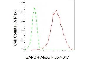 Flow cytometric analysis of GAPDH expression in HepG2 cells using GAPDH antibody (ABIN7798768), 1:2,000).