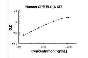 Carboxypeptidase E (CPE) ELISA Kit
