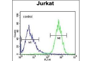 PRRG3 Antibody (Center) (ABIN654581 and ABIN2844283) flow cytometric analysis of Jurkat cells (right histogram) compared to a negative control cell (left histogram).