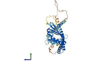 Protein Structure (PS) image for N-Terminal EF-Hand Calcium Binding Protein 3 (NECAB3) (AA 1-353) protein (His tag) (ABIN7561047)