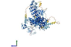 Protein Structure (PS) image for Mindbomb E3 Ubiquitin Protein Ligase 1 (MIB1) (AA 1-1006) protein (His tag) (ABIN7554588)