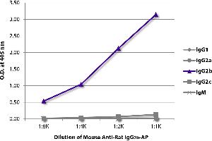 ELISA plate was coated with purified rat IgG1, IgG2a, IgG2b, IgG2c, and IgM. (小鼠 anti-大鼠 IgG2b Antibody (Alkaline Phosphatase (AP)))