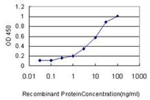 Detection limit for recombinant GST tagged ULK4 is approximately 0. (ULK4 抗体  (AA 1-580))