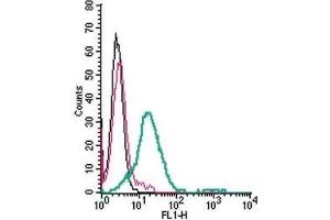 Cell surface detection GPR120/FFAR4 in live intact mouse BV-2 microglia cells: (black line) Cells. (O3FAR1 抗体  (Extracellular) (FITC))