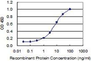 Detection limit for recombinant GST tagged DGKK is 0. (DGKK 抗体  (AA 1171-1271))