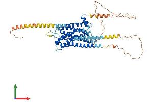 AlphaFold protein structure predicition of Mouse Recombinant Htr2b Protein, UniprotID Q02152
