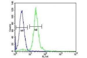 CPT1C antibody flow cytometric analysis of HL-60 cells (green) compared to a negative control (blue). (CPT1C 抗体  (AA 752-782))