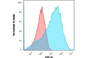 Flow Cytometric Analysis of HEK293 cells using Neurofilament Rabbit Recombinant Monoclonal Ab (NEFL. (Recombinant NEFH 抗体)