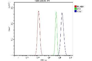 Flow Cytometry analysis of Ramos cells using anti-TOE1 antibody (ABIN7601080).