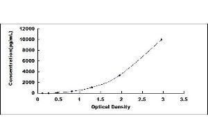 Typical standard curve (Caspase 12 ELISA 试剂盒)