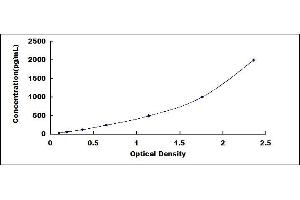 Typical standard curve (ILK ELISA 试剂盒)