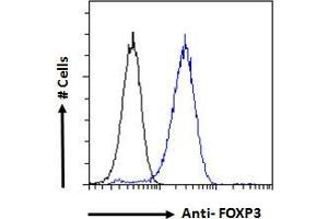 ABIN185239 Flow cytometric analysis of paraformaldehyde fixed NIH3T3 cells (blue line), permeabilized with 0. (FOXP3 抗体  (C-Term))