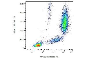 Intracellular staining of human peripheral blood with anti-myeloperoxidase (MPO421-8B2) FITC. (Myeloperoxidase 抗体  (FITC))