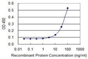 Detection limit for recombinant GST tagged ELA1 is 3 ng/ml as a capture antibody. (CELA1 抗体  (AA 159-257))