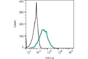 Cell surface detection of mGluR3  by indirect flow cytometry in live intact mouse J774 macrophage cell line: + goat-anti-rabbit-FITC. (Metabotropic Glutamate Receptor 3 抗体  (Extracellular))