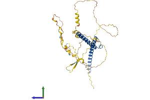 Protein Structure (PS) image for Protein L-Myc (MYCL) (AA 1-364) protein (His tag) (ABIN7549605)