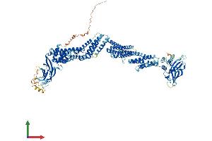Protein Structure (PS) image for Unc-13 Homolog D (UNC13D) (AA 1-1090) protein (His tag) (ABIN7555967)