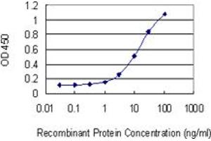 Detection limit for recombinant GST tagged GAA is 0. (GAA 抗体  (AA 851-952))