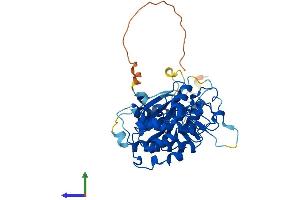 AlphaFold protein structure predicition of Human Recombinant CDK9 Protein, UniprotID P50750