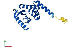 Protein Structure (PS) image for Adaptor-Related Protein Complex 1, sigma 2 Subunit (AP1S2) (AA 1-157) protein (His tag) (ABIN7552306)