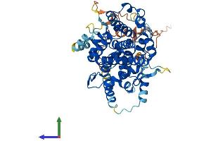 AlphaFold protein structure predicition of Mouse Recombinant Sesn3 Protein, UniprotID Q9CYP7