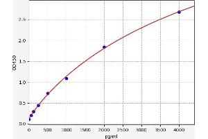 Chemokine (C-C Motif) Ligand 22 (CCL22) ELISA Kit