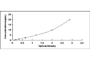 Typical standard curve (ICAM1 ELISA 试剂盒)