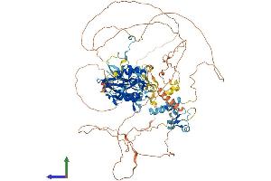 AlphaFold protein structure predicition of Human Recombinant LPIN2 Protein, UniprotID Q92539 (Lipin 2 Protein (LPIN2) (AA 1-896) (His tag))