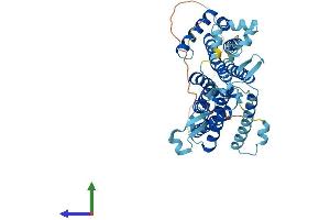 Protein Structure (PS) image for CDP-Diacylglycerol Synthase (Phosphatidate Cytidylyltransferase) 2 (CDS2) (AA 1-445) protein (His tag) (ABIN7553118)