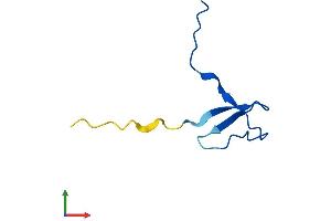 Protein Structure (PS) image for Polymerase (RNA) II (DNA Directed) Polypeptide K, 7.0kDa (POLR2K) (AA 1-58) protein (Fc Tag) (ABIN7557799)