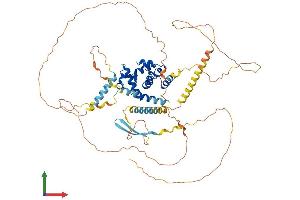 Protein Structure (PS) image for AT Rich Interactive Domain 3A (BRIGHT-Like) (ARID3A) (AA 1-593) protein (His tag) (ABIN7552241)