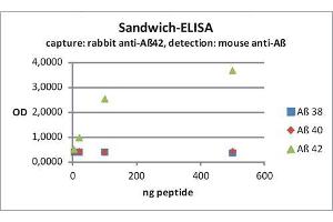 ELISA image for anti-Amyloid beta 1-42 (Abeta 1-42) (AA 37-42) antibody (ABIN1742444) (Abeta 1-42 抗体  (AA 37-42))