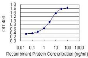Detection limit for recombinant GST tagged TLK1 is 0. (TLK1 抗体  (AA 111-230))