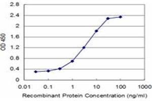Detection limit for recombinant GST tagged ZFYVE16 is approximately 0. (ZFYVE16 抗体  (AA 1-100))