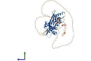 Protein Structure (PS) image for Protein Phosphatase, Mg2+/Mn2+ Dependent, 1D (PPM1D) (AA 1-598) protein (His tag) (ABIN7561816)