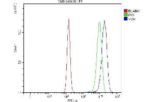 Flow Cytometry analysis of U20S cells using anti-Vitamin D Receptor/VDR antibody (ABIN7602940). (Vitamin D Receptor 抗体  (C-Term))