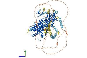 AlphaFold protein structure predicition of Mouse Recombinant Morc1 Protein, UniprotID Q9WVL5 (MORC1 Protein (AA 1-950) (His tag))