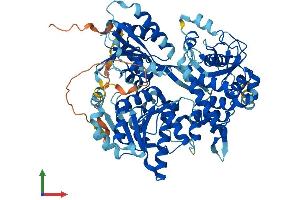 Protein Structure (PS) image for DEAH (Asp-Glu-Ala-His) Box Polypeptide 33 (DHX33) (AA 1-707) protein (His tag) (ABIN7547057)
