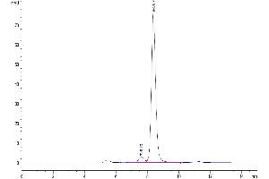 The purity of Mouse NGAL/Lipocalin-2 is greater than 95 % as determined by SEC-HPLC.