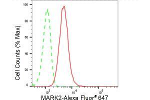 Flow cytometric analysis of MARK2 expression in HT- cells using MARK2 antibody (ABIN7799333), 1:2,000). (Recombinant MARK2 抗体)