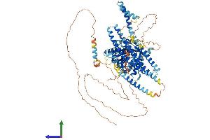 Protein Structure (PS) image for Kinesin Family Member 18A (KIF18A) (AA 1-886) protein (His tag) (ABIN7564797)