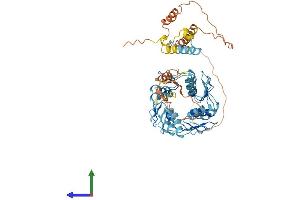 Protein Structure (PS) image for Zinc Finger Protein 155 (ZNF155) (AA 1-538) protein (His tag) (ABIN7545785)